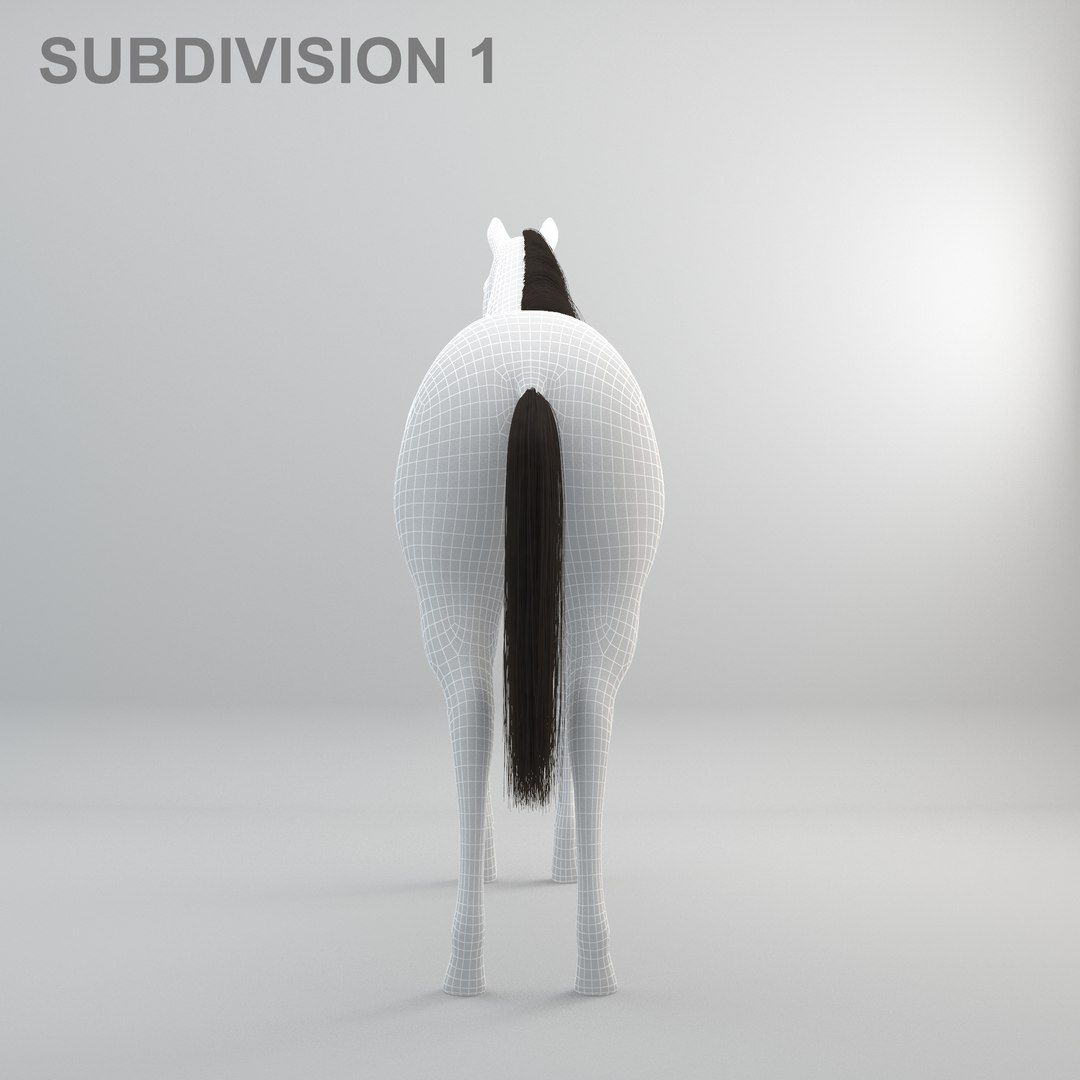 3D realistic rigged horse https://p.turbosquid.com/ts-thumb/ol/O0T9UU/jhIlgOMT/1wire_2/jpg/1518761998/1920x1080/fit_q87/189c6001905adde403f7e76c22804f47174298c8/1wire_2.jpg