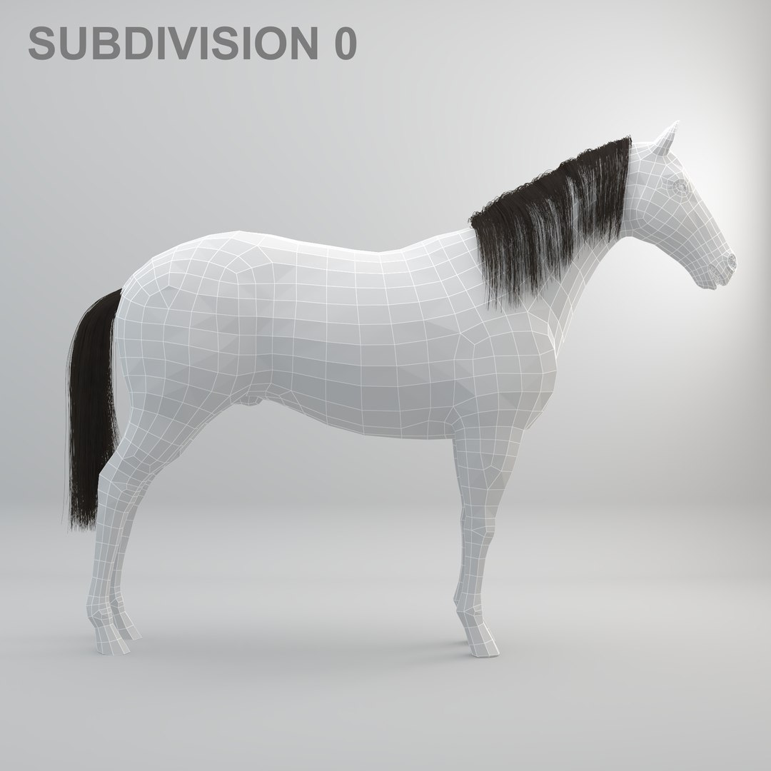 3D realistic rigged horse https://p.turbosquid.com/ts-thumb/ol/O0T9UU/xO9twxjK/0wire_0/jpg/1518761998/1920x1080/fit_q87/acbaa53729eb275754b1be128e26e8f7315e2018/0wire_0.jpg