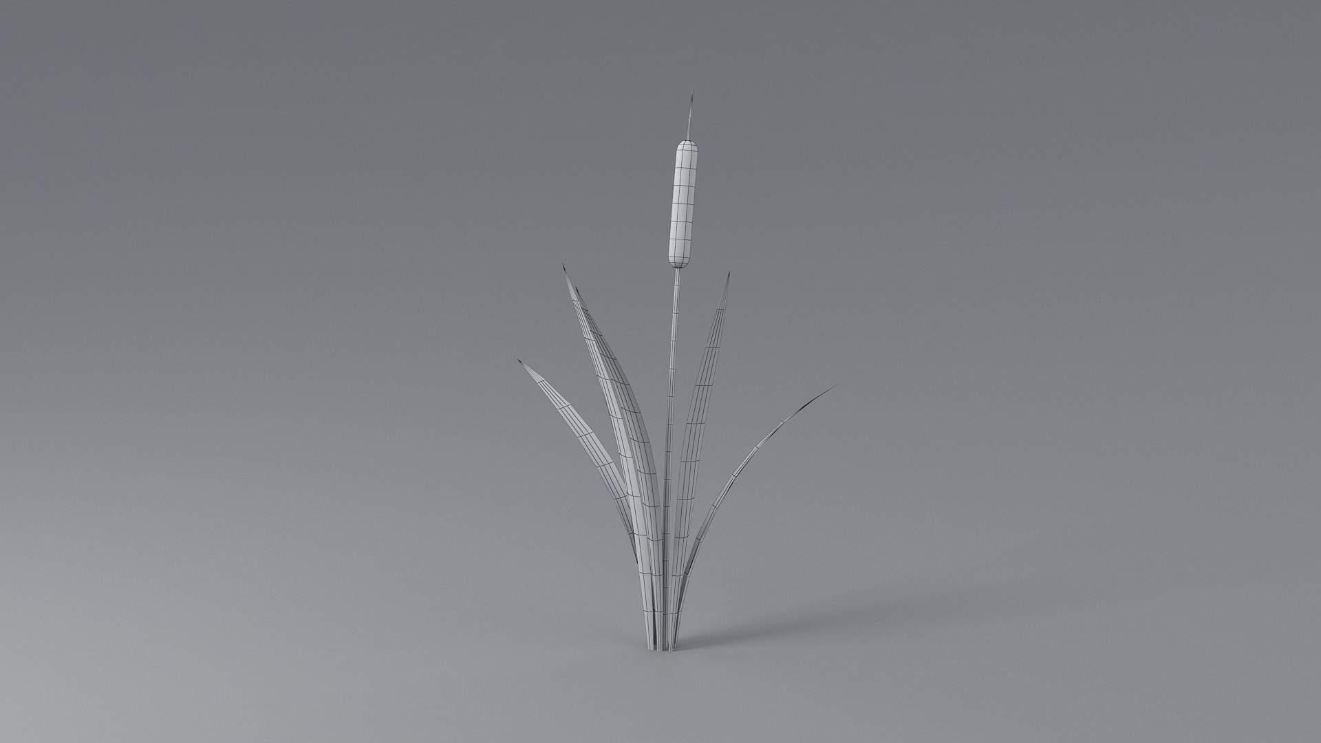 Cartoon Cattail 01 model https://p.turbosquid.com/ts-thumb/ol/T4NEGe/YY/cattail_one_11/jpg/1659340756/1920x1080/fit_q87/ba4953e06898ccc893bc6431a3fe41994e7f300c/cattail_one_11.jpg