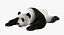 Giant Panda