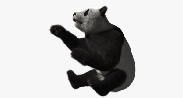 giant panda animation 3d model