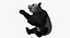 Giant Panda