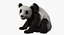 Giant Panda
