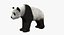 Giant Panda