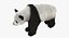 Giant Panda