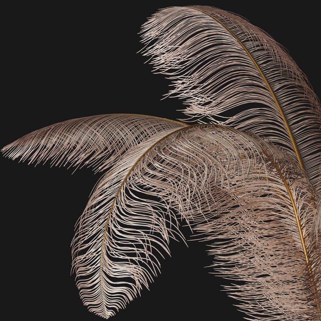 Decorative set B Ostrich model https://p.turbosquid.com/ts-thumb/ol/WgmY1J/Mq/pf5dfgd/jpg/1657929058/1920x1080/fit_q87/bad50e45808bd980be59ce0af9593c32c55ffd15/pf5dfgd.jpg