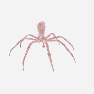 dangerous strange spider 3d model fully detailed and rigged