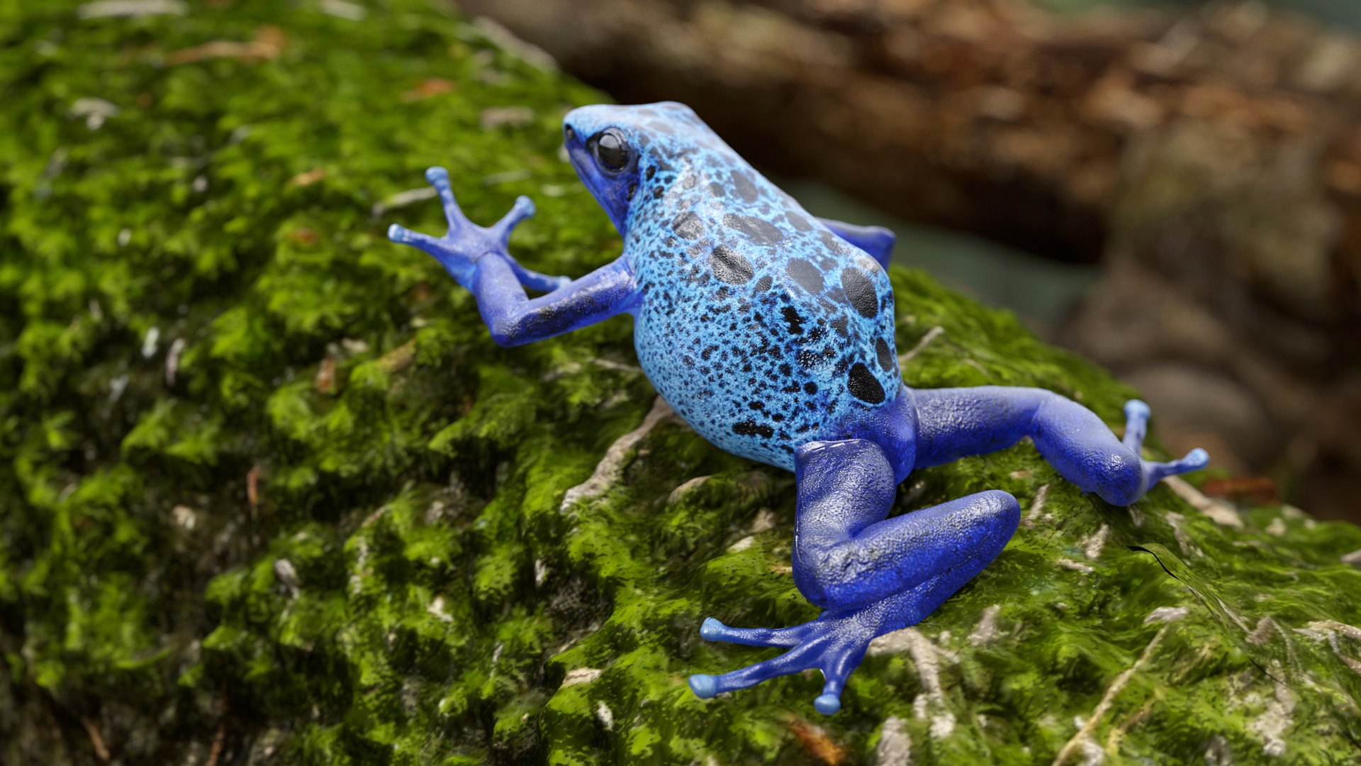 Realistic Poison Dart Frog Rigged For Maya 3D Model - TurboSquid 2342400