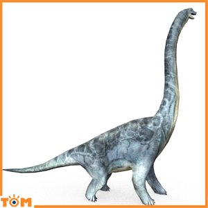 brachiosaurus dinosaur 3d model