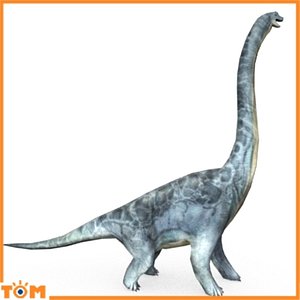 Brachiosaurus