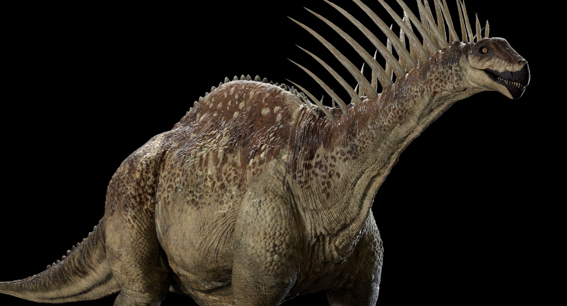 Realistic Rig Model - TurboSquid 1409824