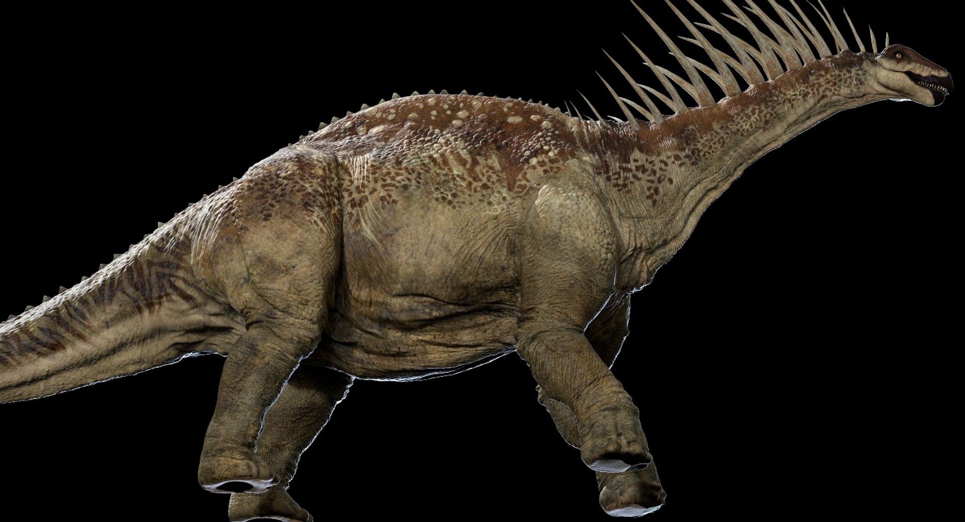 Realistic Rig Model - TurboSquid 1409824