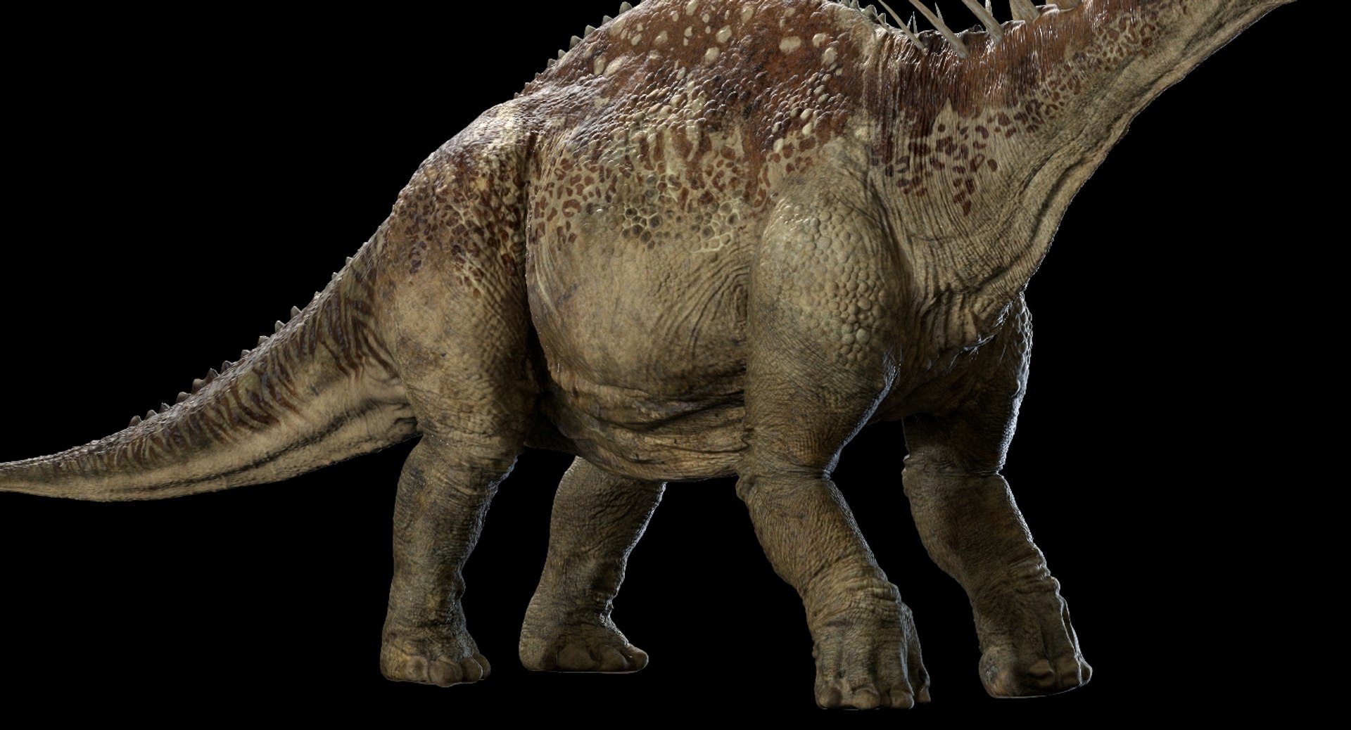Realistic Rig Model - TurboSquid 1409824