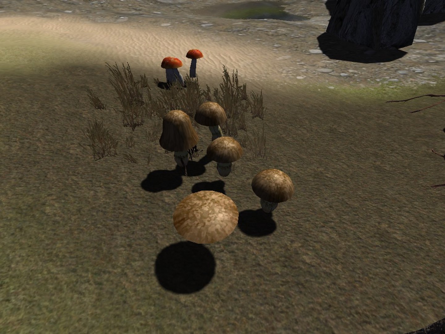 fbx tree https://p.turbosquid.com/ts-thumb/om/1SS15X/6V91Xj9b/20160303_00022/jpg/1457080231/1920x1080/fit_q87/cd40bd1df31d5d1a47f40f16bf35402b9ea0c438/20160303_00022.jpg