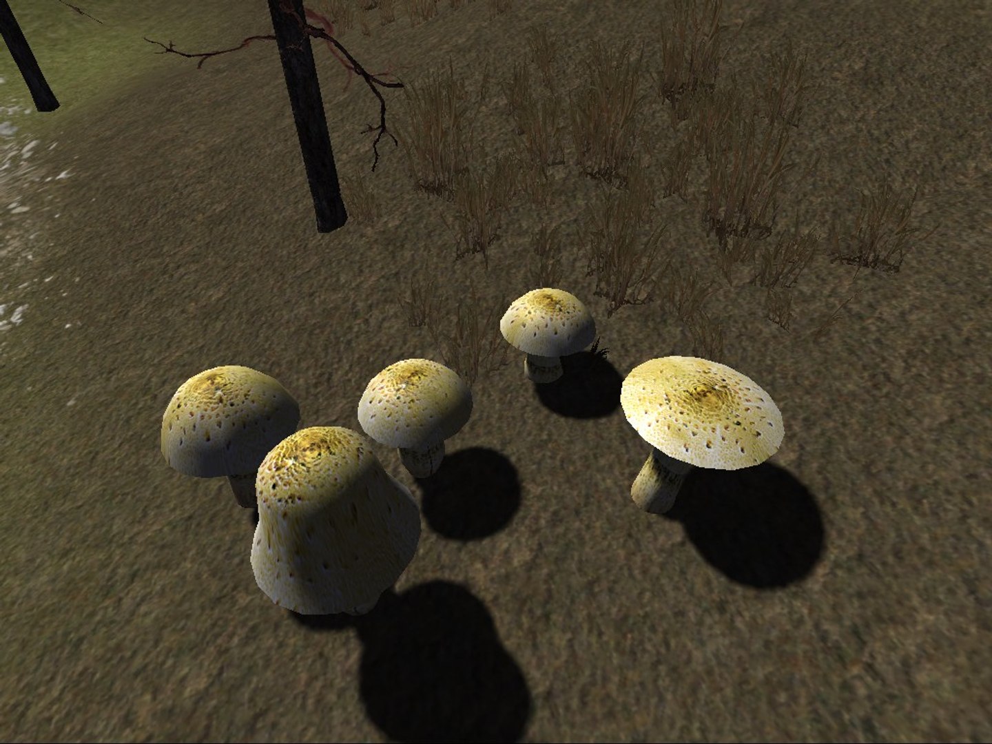 fbx tree https://p.turbosquid.com/ts-thumb/om/1SS15X/CqfoLopn/20160303_00024/jpg/1457080138/1920x1080/fit_q87/b58a64553abb424690dab79782507c7d7eb5d519/20160303_00024.jpg
