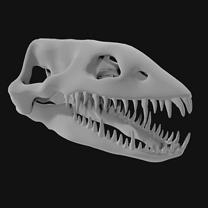 3D model Plesiosaur Skull