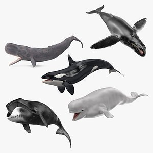 マッコウクジラ　歯　トローリングヘッド　ハンドメイド　漁具 マッコウクジラの歯のトローリングヘッド3個セット 鯨歯HOOK WL-28 |