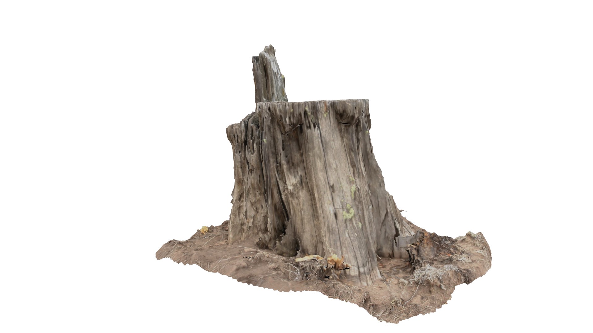 rotten stump 3D model https://p.turbosquid.com/ts-thumb/om/Yz29p6/5IZWktUa/col08/png/1553738726/1920x1080/fit_q87/d2d8d3235904d1b2b182729d0eb61fd590b751ab/col08.jpg
