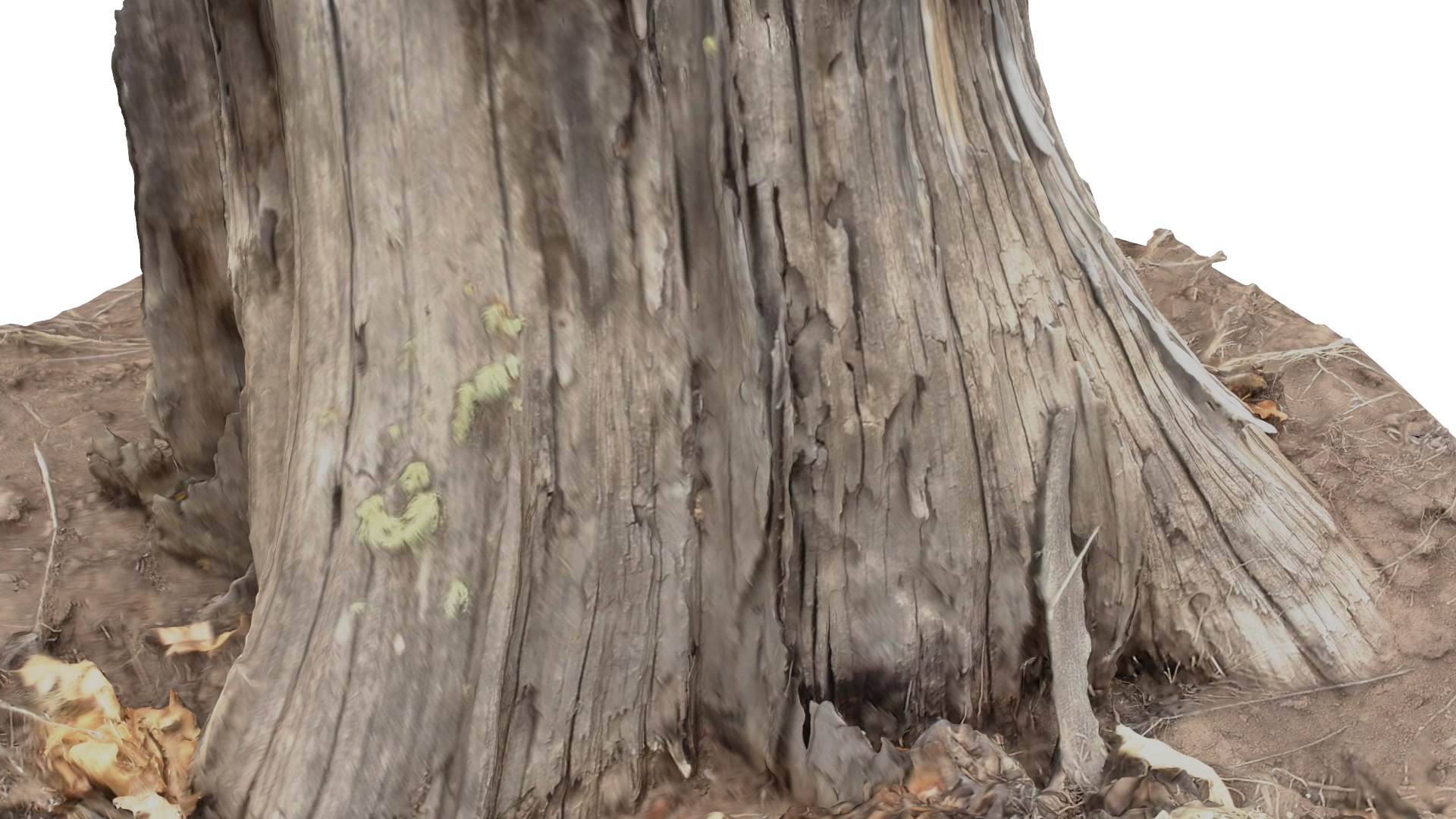rotten stump 3D model https://p.turbosquid.com/ts-thumb/om/Yz29p6/D7IeGAix/col04/png/1553738725/1920x1080/fit_q87/4bce10982862e3285d413b4c2bb7b32a0aaa523f/col04.jpg