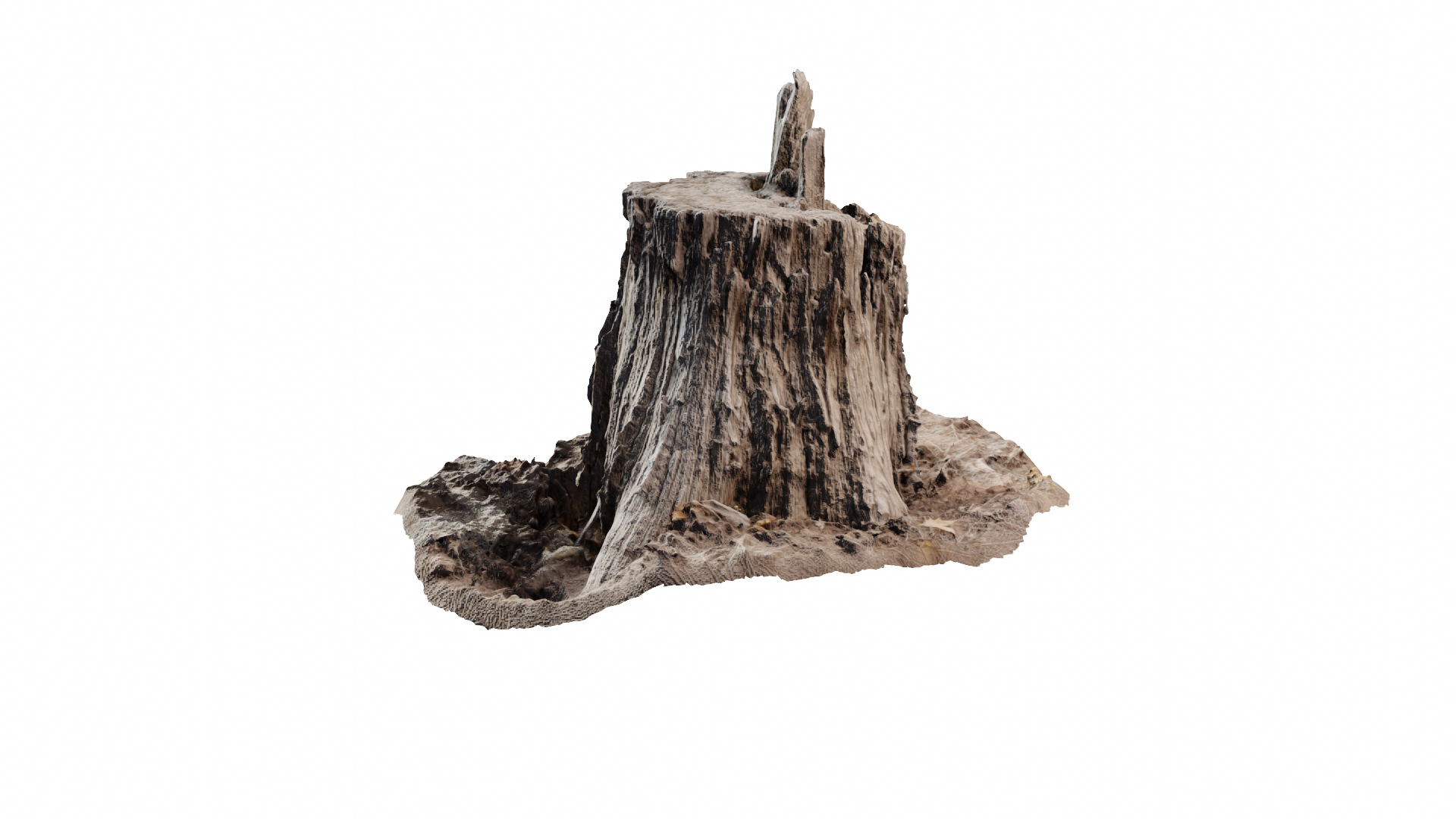 rotten stump 3D model https://p.turbosquid.com/ts-thumb/om/Yz29p6/GlII2DKj/01/png/1553741023/1920x1080/turn_fit_q99/14b58ecf88f86c0a803d1817d84c85b7f477ea63/01-1.jpg