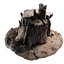 Rotten Stump 002