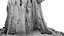 Rotten Stump 002