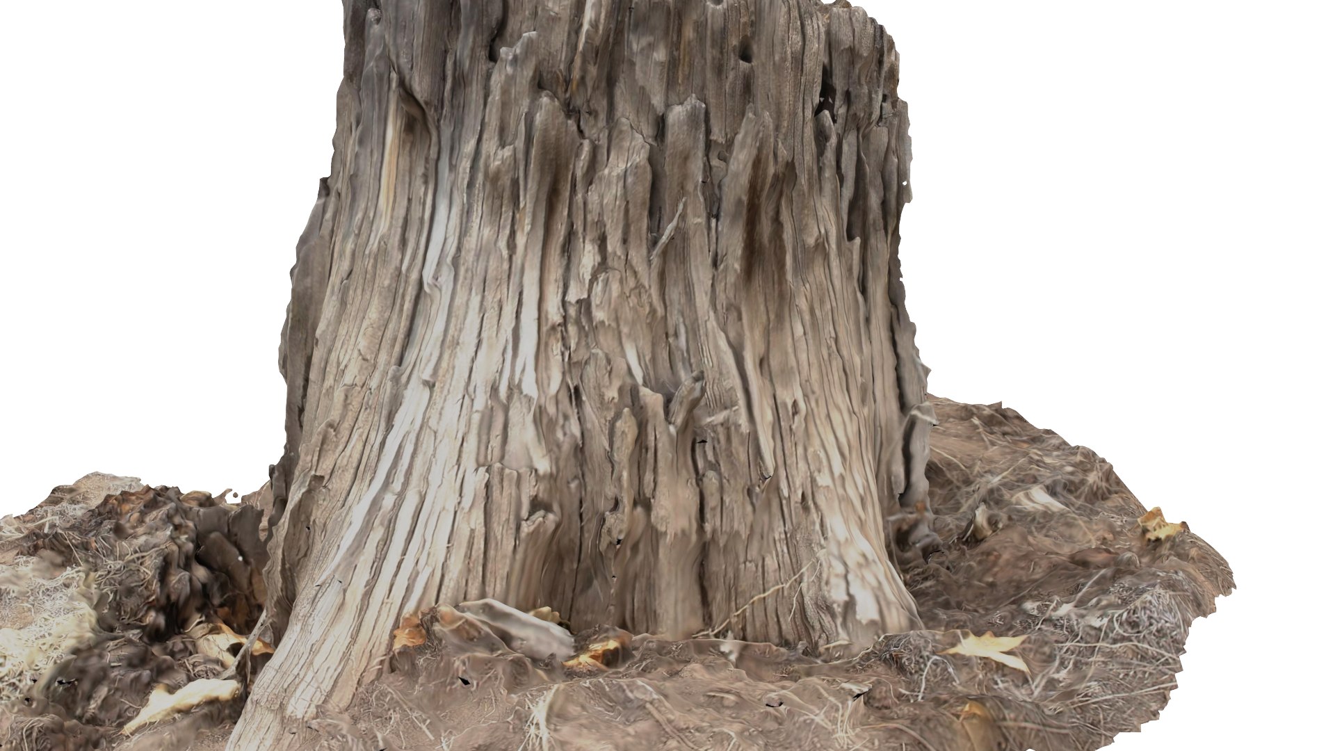 rotten stump 3D model https://p.turbosquid.com/ts-thumb/om/Yz29p6/ZcTvT8mi/col01/png/1553738725/1920x1080/fit_q87/bd87d5a3174e90d1b2db9b04d746339127d1711b/col01.jpg