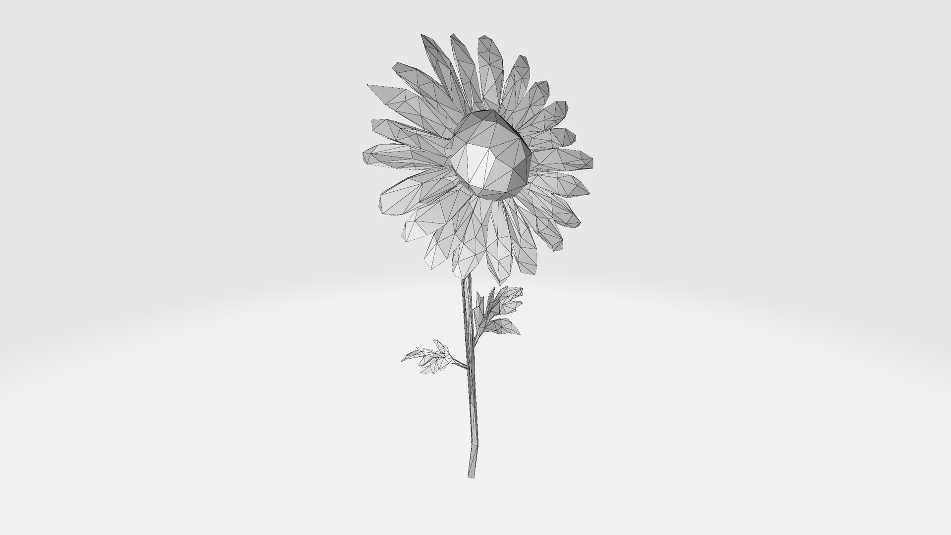 3D Daisy - low poly https://p.turbosquid.com/ts-thumb/om/h9Kgu4/04/daisylowpoly001/png/1787160834/1920x1080/fit_q87/2a305d5c972af620d90949ee6980ef7d0c97f5f1/daisylowpoly001.jpg