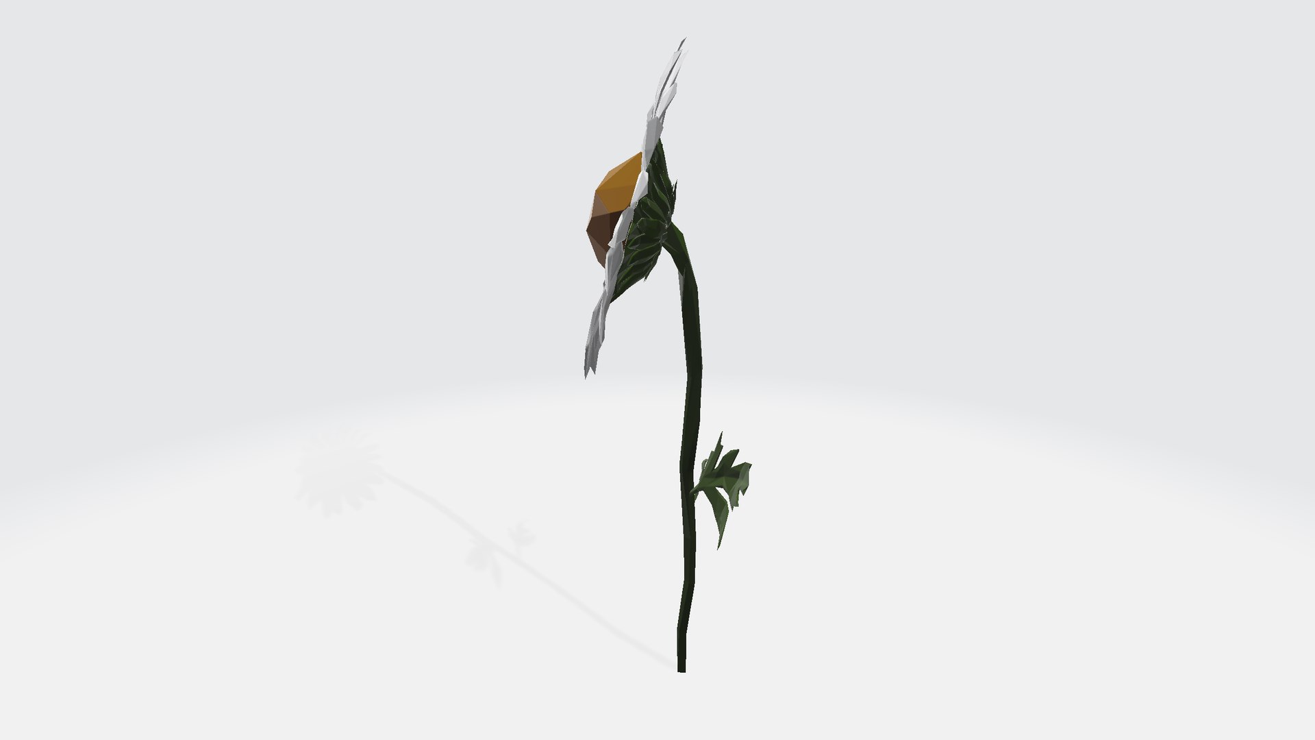 3D Daisy - low poly https://p.turbosquid.com/ts-thumb/om/h9Kgu4/Jv/daisylowpoly00124/png/1787160835/1920x1080/fit_q87/f943d2f191de251f36be96dfbe7068457dc9cada/daisylowpoly00124.jpg