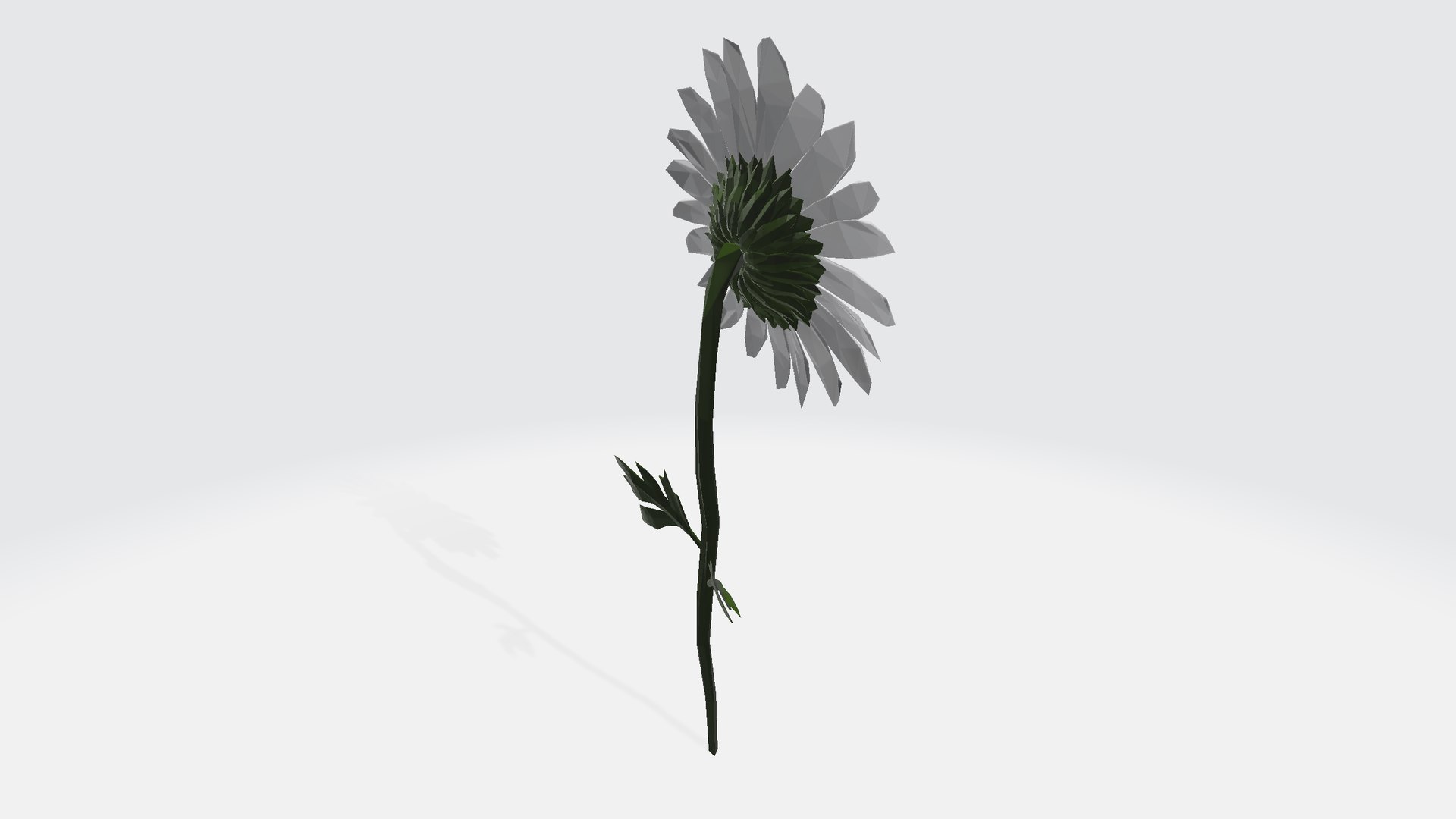 3D Daisy - low poly https://p.turbosquid.com/ts-thumb/om/h9Kgu4/XB/daisylowpoly0012456/png/1787160836/1920x1080/fit_q87/900fec8d1a02b006593ed8a0c8c1886324500728/daisylowpoly0012456.jpg