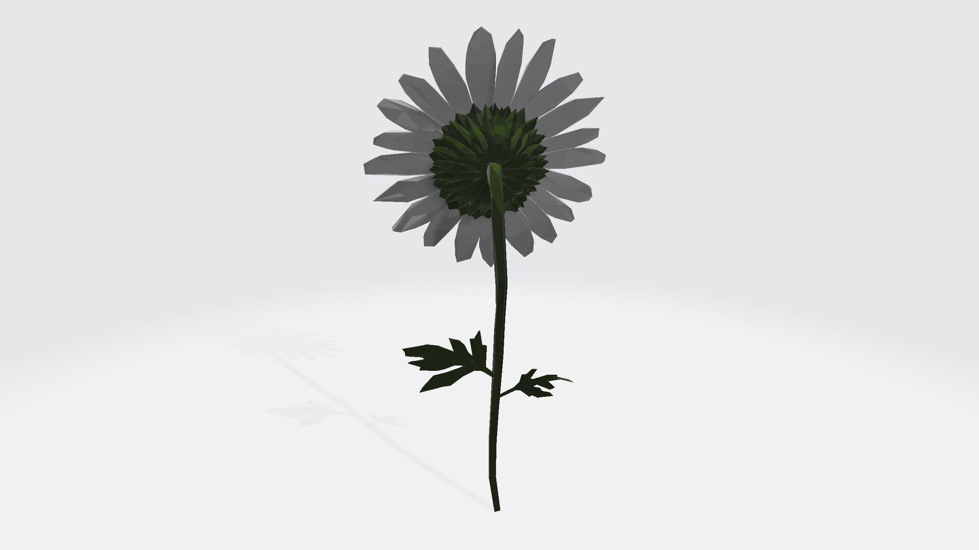 3D Daisy - low poly https://p.turbosquid.com/ts-thumb/om/h9Kgu4/f6/daisylowpoly001245/png/1787160835/1920x1080/fit_q87/366f5b3144d56d47a5badedf2460d8377e2fe0b9/daisylowpoly001245.jpg