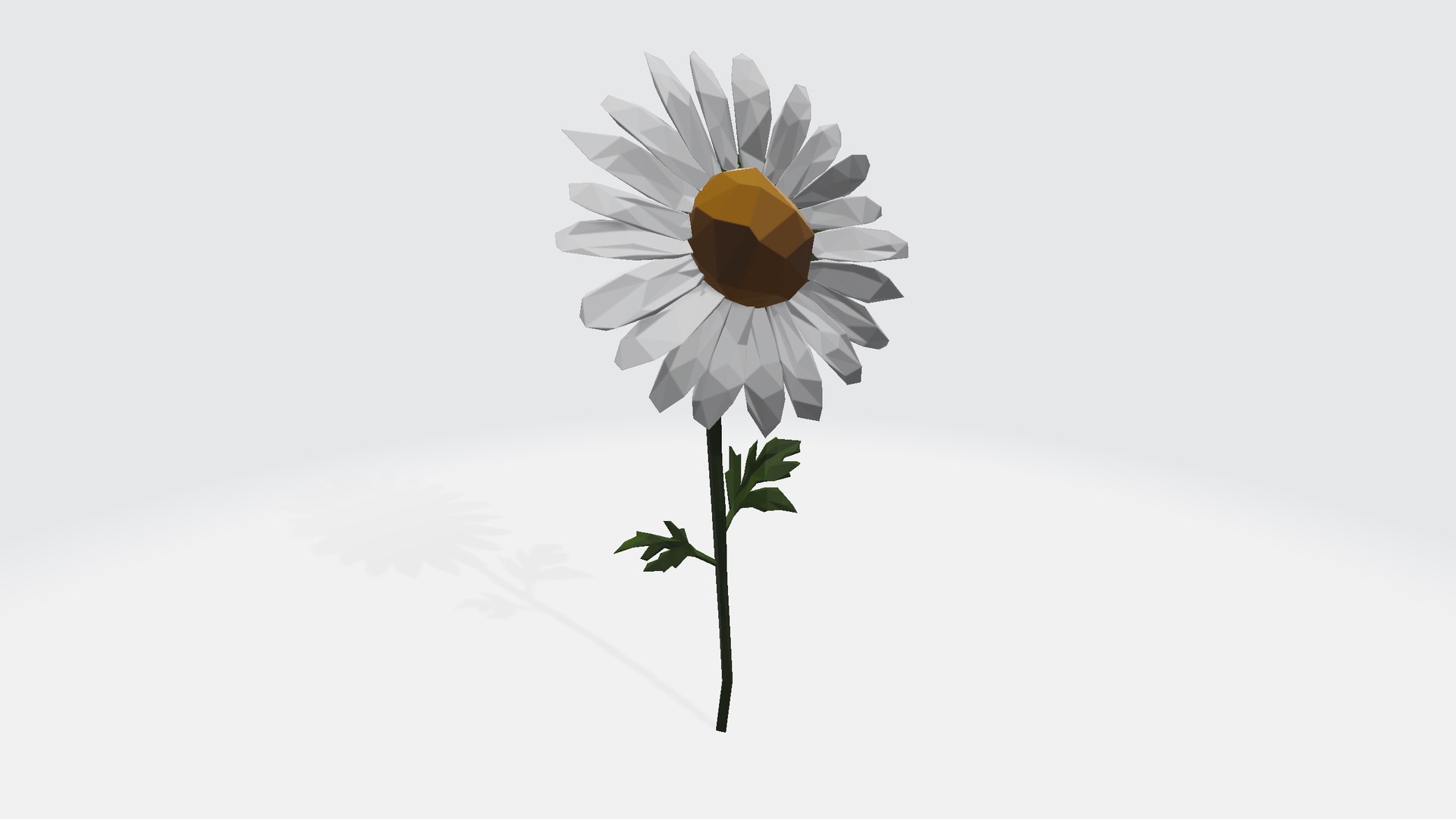 3D Daisy - low poly https://p.turbosquid.com/ts-thumb/om/h9Kgu4/jr/daisylowpoly00/png/1787160834/1920x1080/fit_q87/ef71fc7099971407b45745e43f6053895c983fb5/daisylowpoly00.jpg