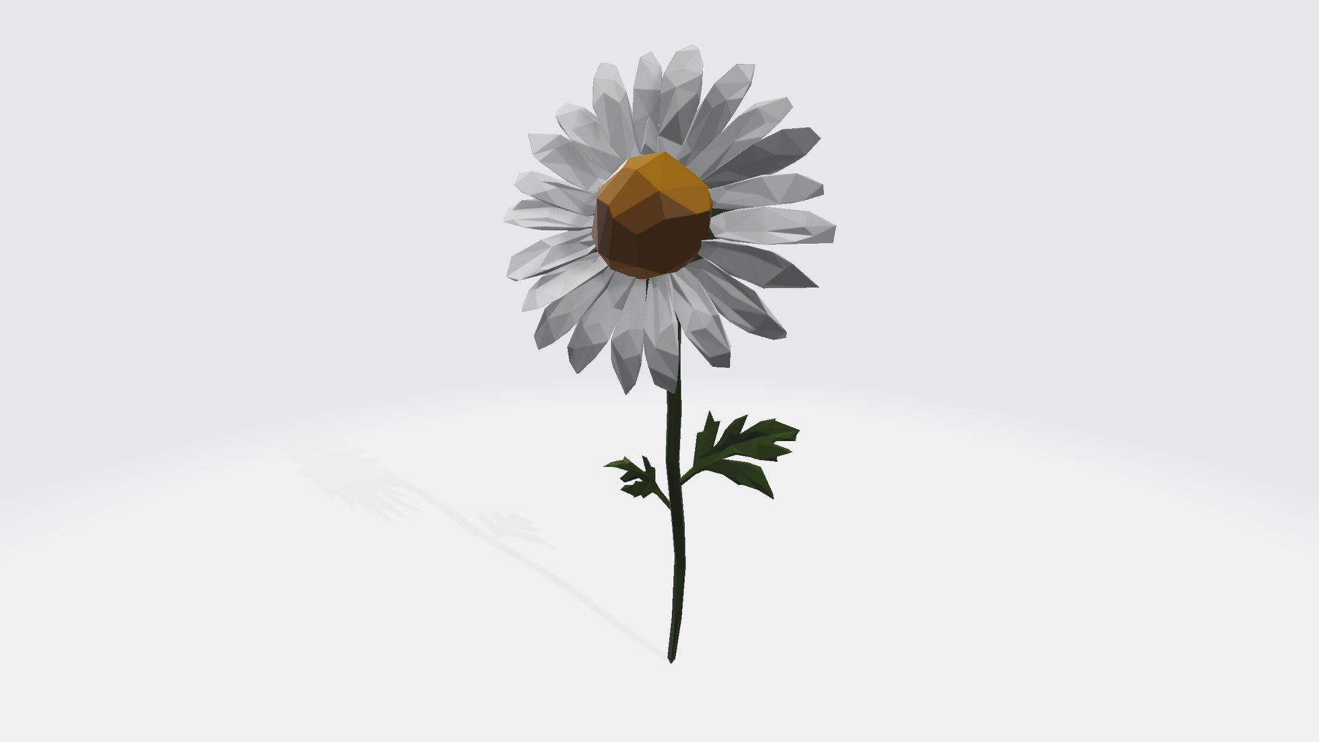 3D Daisy - low poly https://p.turbosquid.com/ts-thumb/om/h9Kgu4/kN/daisylowpoly0012/png/1787160834/1920x1080/fit_q87/092509f689d36d9793e9b8c3a20c58a4e938a42c/daisylowpoly0012.jpg