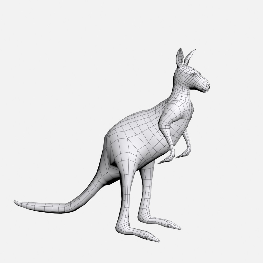 Kangaroo Base 3D - TurboSquid 1396438