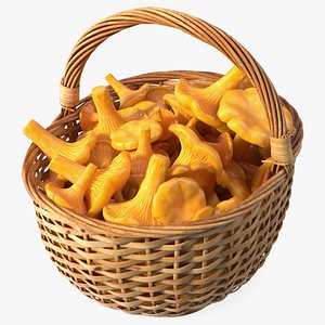 Chanterelle Mushroom Basket 3D model