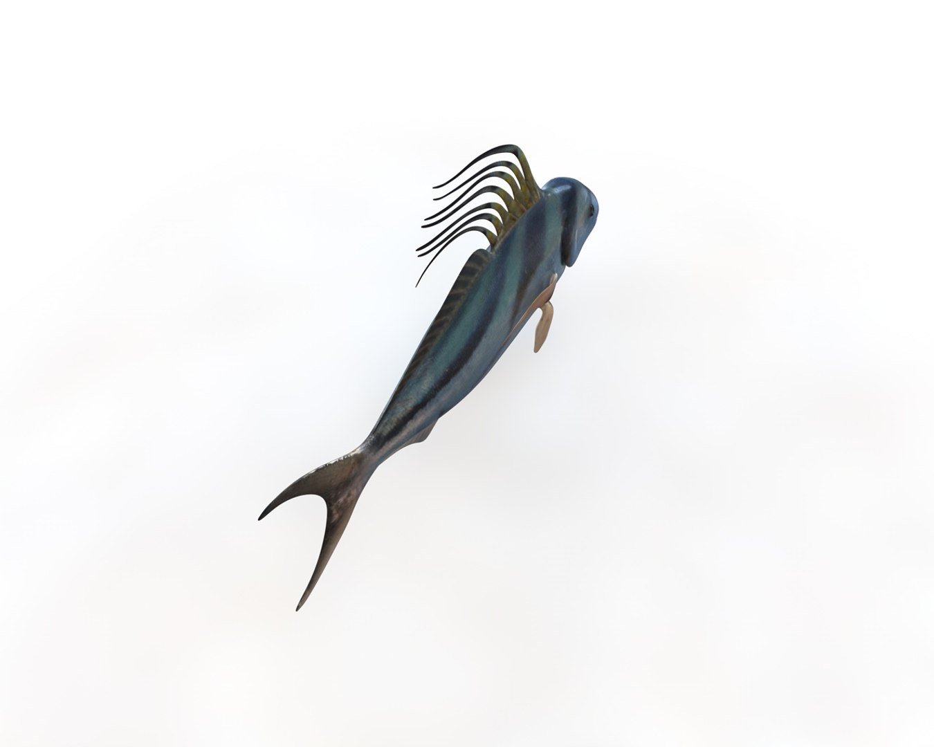 Fish Model - TurboSquid 1551918