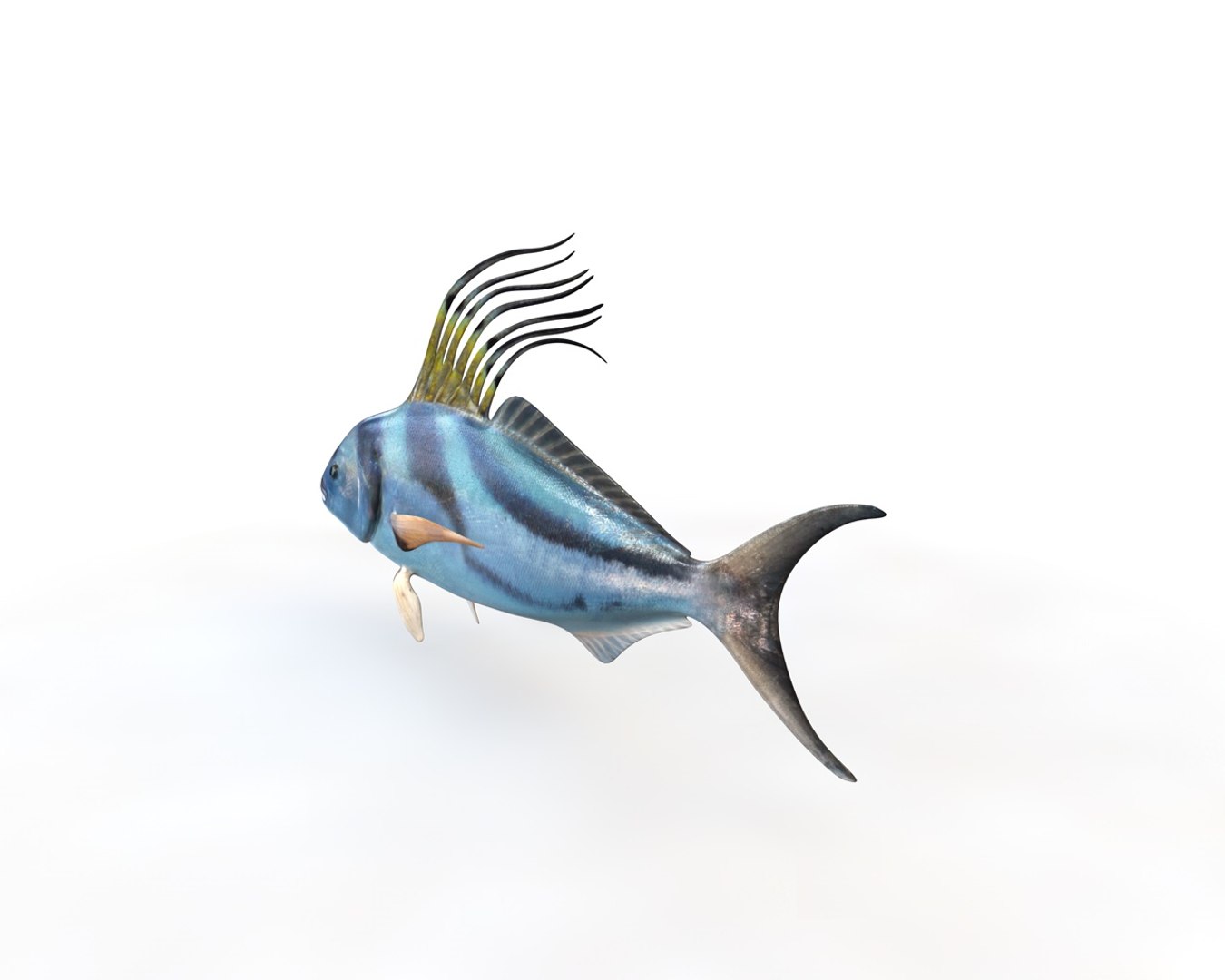 Fish Model - TurboSquid 1551918