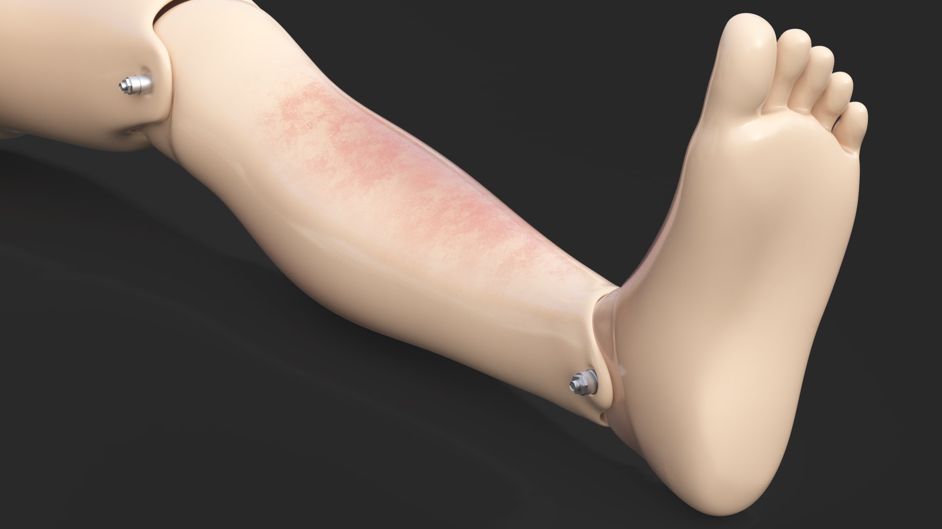 trauma extrication manikin lying model https://p.turbosquid.com/ts-thumb/on/1HC8bN/Rsr6YBlL/traumaandextricationmanikinlyingposec4dmodel020/jpg/1582319542/1920x1080/fit_q87/a0ac5e66b7c78d00428e905f3ce377476052ae9b/traumaandextricationmanikinlyingposec4dmodel020.jpg