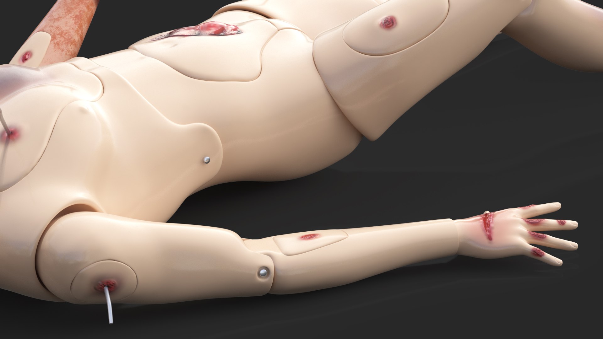 trauma extrication manikin lying model https://p.turbosquid.com/ts-thumb/on/1HC8bN/U9DIsSbv/traumaandextricationmanikinlyingposec4dmodel016/jpg/1582319519/1920x1080/fit_q87/2f483c5344d1de38ddec0641797f243dde2972f5/traumaandextricationmanikinlyingposec4dmodel016.jpg