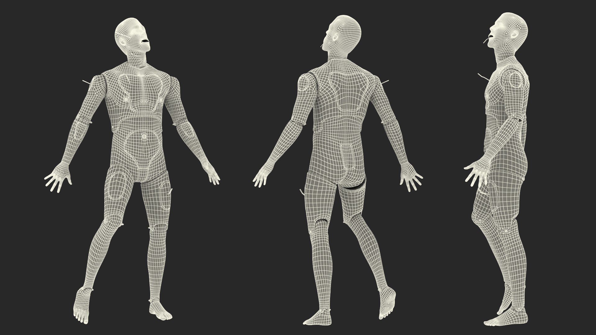 trauma extrication manikin lying model https://p.turbosquid.com/ts-thumb/on/1HC8bN/apdnUZci/traumaandextricationmanikinlyingposec4dmodel045/jpg/1582319692/1920x1080/fit_q87/57e541dc9dc8632b850489ae366cd375eb91fac4/traumaandextricationmanikinlyingposec4dmodel045.jpg
