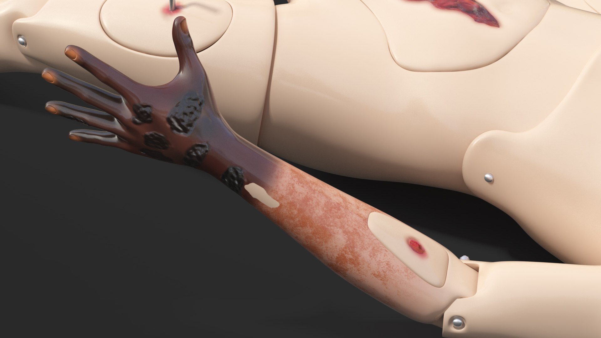 trauma extrication manikin lying model https://p.turbosquid.com/ts-thumb/on/1HC8bN/tM3kqdPK/traumaandextricationmanikinlyingposec4dmodel015/jpg/1582319513/1920x1080/fit_q87/68652ff77d6a4141e14c635c03e27a717c36c93e/traumaandextricationmanikinlyingposec4dmodel015.jpg