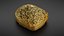 Bread roll scan