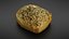 Bread roll scan
