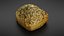 Bread roll scan