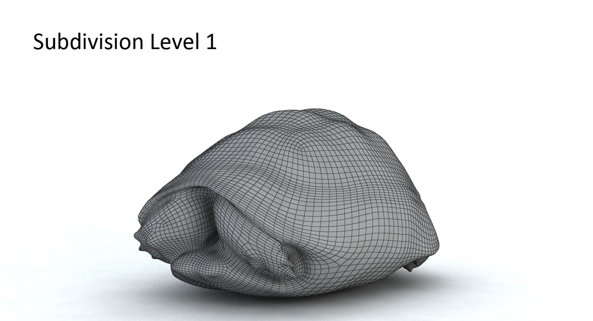 3d model of turtle shell https://p.turbosquid.com/ts-thumb/on/6FCAHl/TCjFAv2h/s1/jpg/1454687330/1920x1080/fit_q87/4d1bc17e3b222298cd0bd8d2658062a1cffc5ac0/s1.jpg