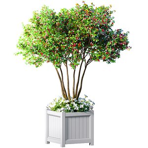 Decorative tree in a garden planter with flowers Houseplant 3D