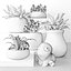 Pots and inhabitants