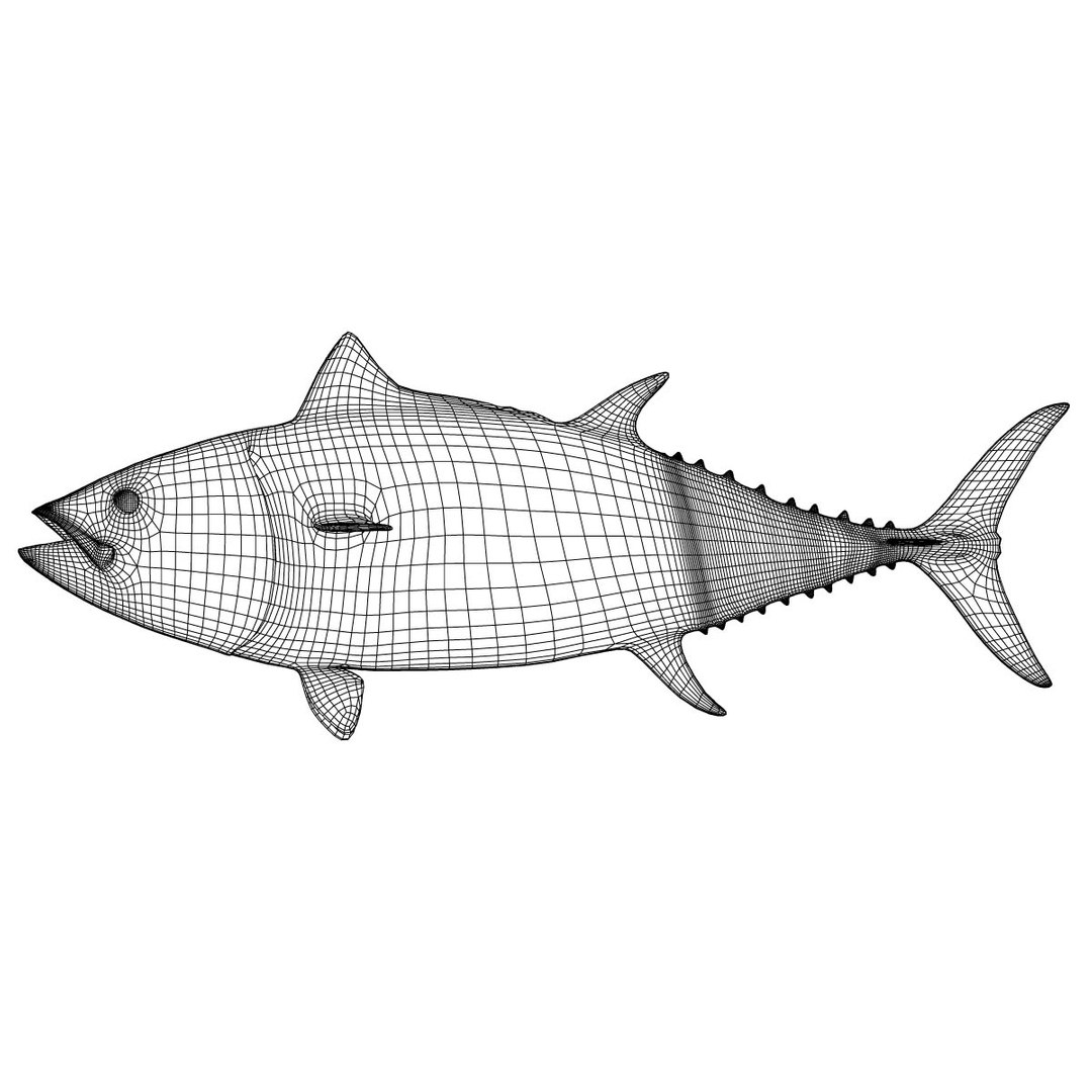3D model big marlin tuna https://p.turbosquid.com/ts-thumb/on/ItcFXm/0J2cQ9l2/bluefin_wire/jpg/1531691660/1920x1080/fit_q87/3aa66e5d05a8667a85b28ac4947db11b80234c71/bluefin_wire.jpg