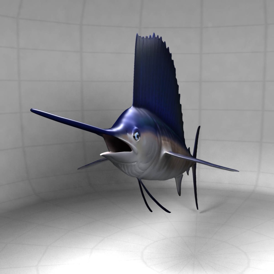 3D model big marlin tuna https://p.turbosquid.com/ts-thumb/on/ItcFXm/gmvO9BWD/sailfish11/jpg/1531691098/1920x1080/fit_q87/d4a58df306f303302672ee7bd30bdc8e212a2776/sailfish11.jpg