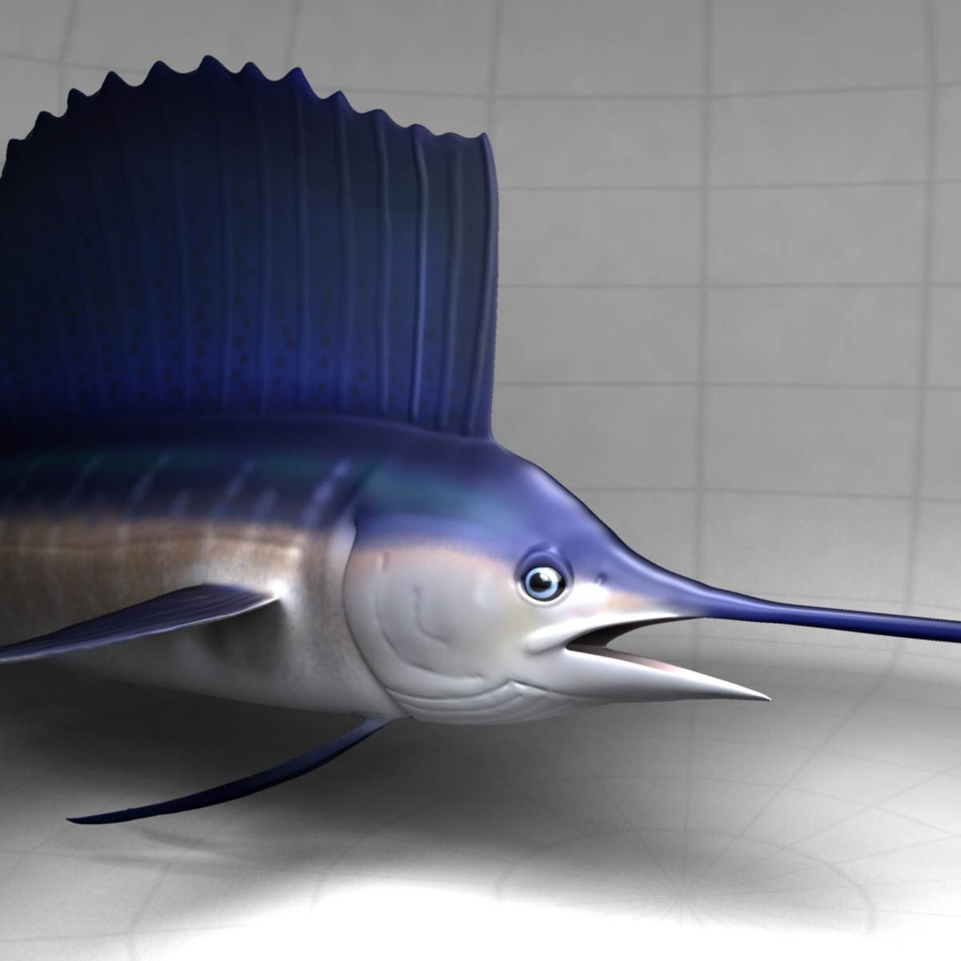 3D model big marlin tuna https://p.turbosquid.com/ts-thumb/on/ItcFXm/igsiUuLB/sailfish12/jpg/1531691113/1920x1080/fit_q87/033b8ed425cf6241ce348fff4858ac98e7a4a1e1/sailfish12.jpg